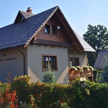 Apartmán Pod Homolkou *