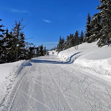 Pod Homolkou * Jamník