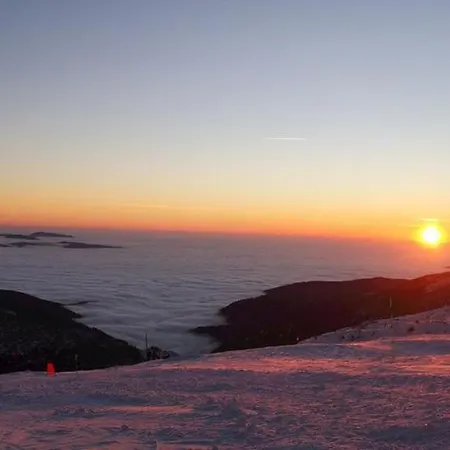 Pod Homolkou Apartment *