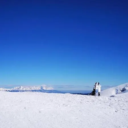 Pod Homolkou * Jamník