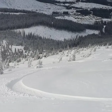 Pod Homolkou דירה Jamník